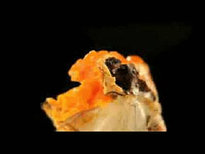 大闸蟹005.gif